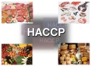 haccp - szkoleniebhpnet